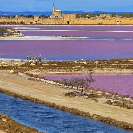 En Camargue Эг-Морт