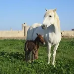 En Camargue Apartment *