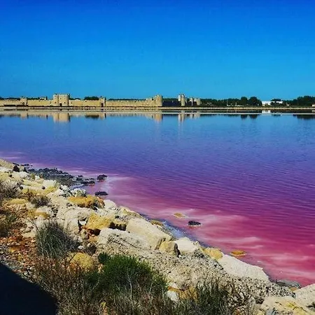 En Camargue *